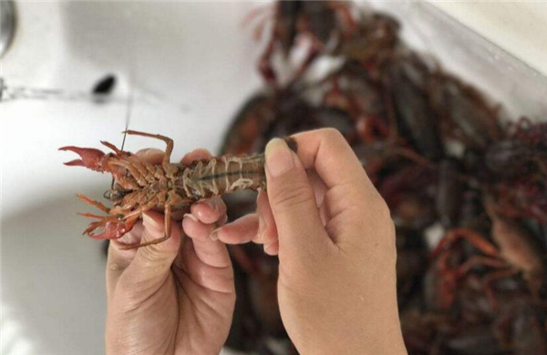 虾尾怎么清洗，清洗虾尾有两方法