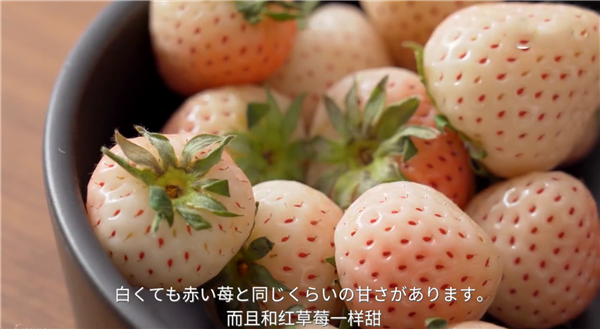 菠萝莓好吃吗 菠萝莓又香又甜还有柑橘清香