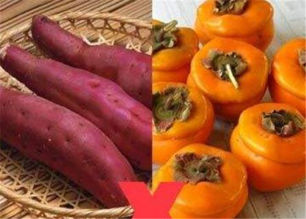 柿子和什么不能一起吃，柿子不能和什么食物一起吃(蟹致胃柿石)