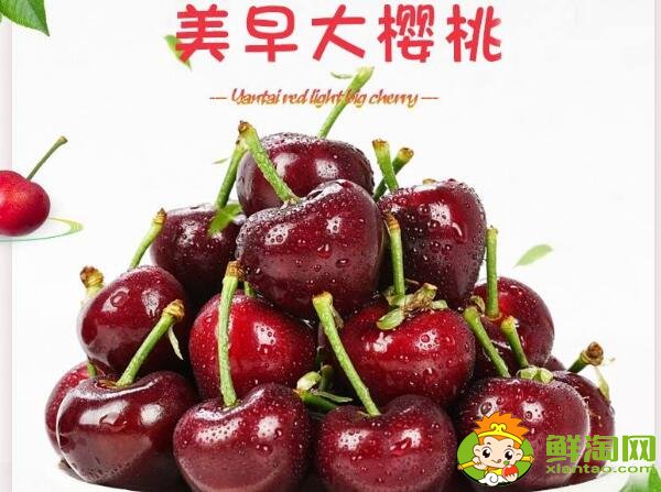 山东烟台的樱桃什么时候成熟，烟台樱桃成熟的季节初夏4月中旬