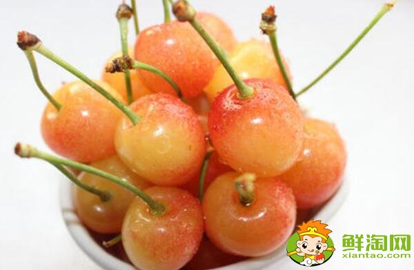山东烟台的樱桃什么时候成熟，烟台樱桃成熟的季节初夏4月中旬
