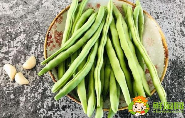 芸豆长什么样，芸豆品种图片大全