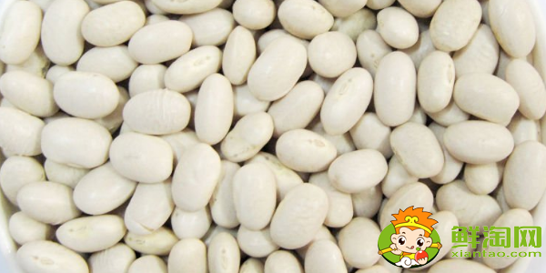 新鲜的日本芸豆是什么样子的,黑芸豆是什么样子的