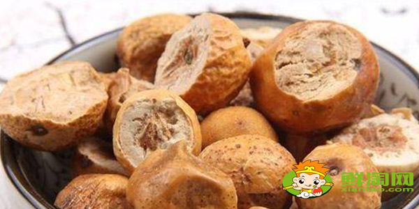 金铃子和川楝子是一种东西吗,金铃子与川楝子的区别