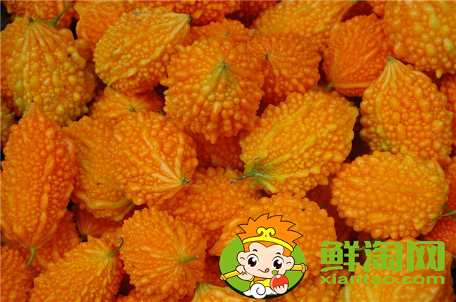 金铃子吃什么部分,金铃子里面的虫子可以吃吗