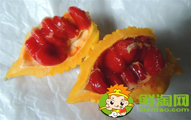 金铃子黄了皮能吃吗,金铃子食用方法