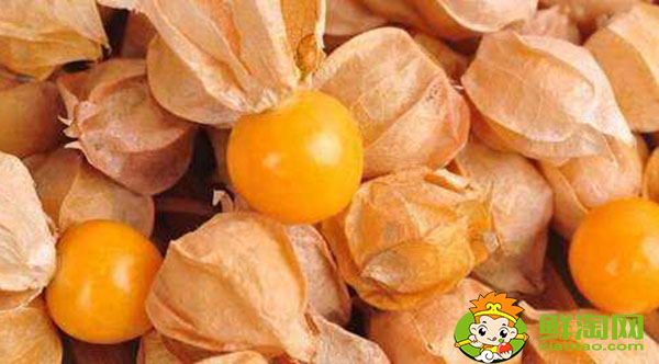 东北人说的姑娘是什么水果，金姑娘果什么味道