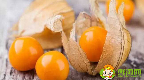 东北人说的姑娘是什么水果，金姑娘果什么味道