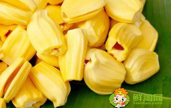 菠萝蜜怎么保存才不坏，菠萝蜜肉怎么保存
