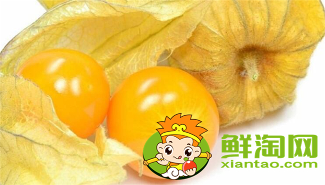 姑娘果和东北姑娘是一个吗，东北姑娘果能放多长时间