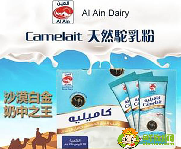 迪拜骆驼奶好喝吗，哪里能买到好的骆驼奶