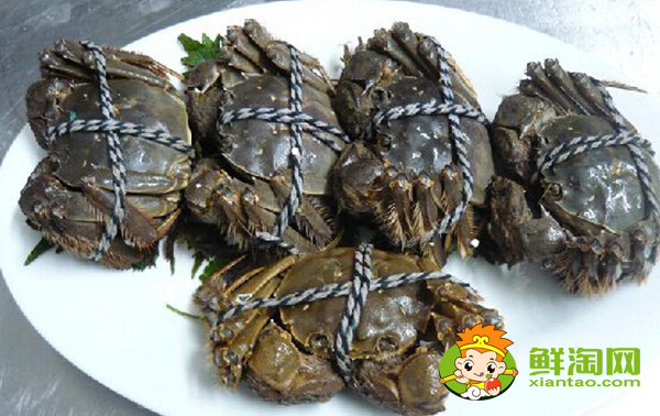 大闸蟹几月份最好吃,大闸蟹蒸多久最佳时间
