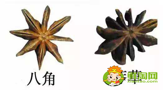 大料的真假如何区分，大料的价格与等级区分