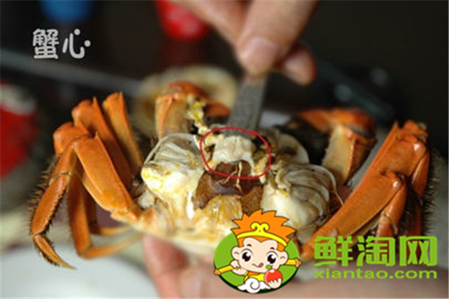 大闸蟹怎么吃新手，大闸蟹不能吃的部位图