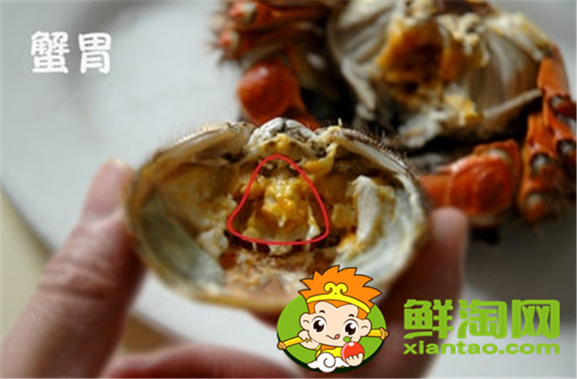 大闸蟹怎么吃新手，大闸蟹不能吃的部位图