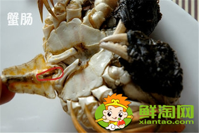 大闸蟹怎么吃新手，大闸蟹不能吃的部位图