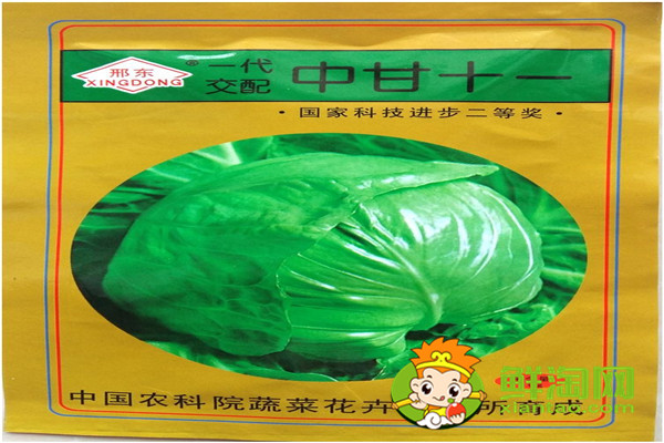 包菜哪个品种好,进口包莱种子有哪些
