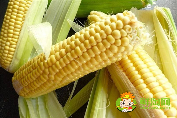 一根玉米去芯大概多重，甜玉米糯玉米哪个减肥