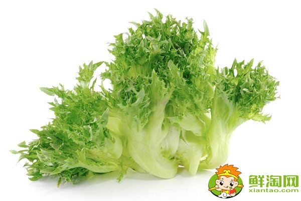 莴苣是笋子吗,莴苣是生菜吗