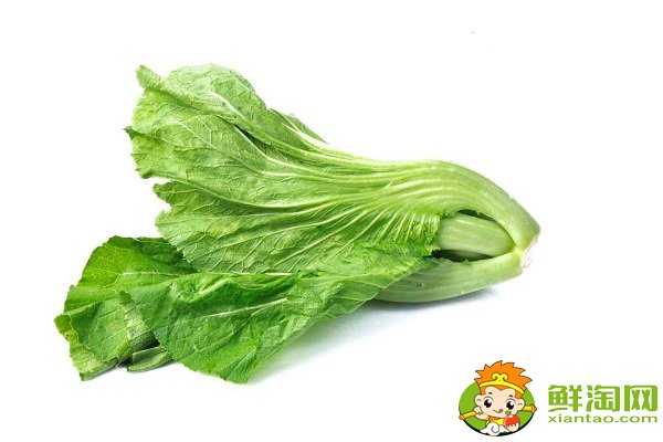 芥菜就是酸菜吗,芥菜是雪里红吗