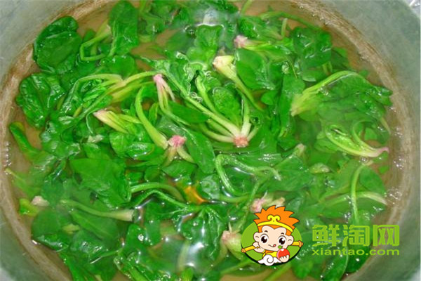 菠菜用开水烫一下能吃吗,每天吃菠菜对身体好吗