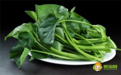 空心菜需要切断吗，炒空心菜几分钟熟