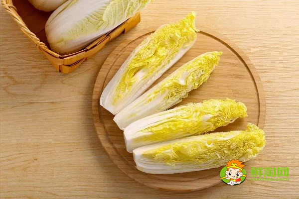 娃娃菜能放冰箱吗，娃娃菜保鲜的小妙招
