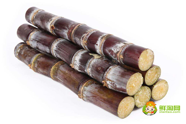 黑皮甘蔗是凉性还是热性,黑皮甘蔗偏凉不适合体内虚寒的人吃