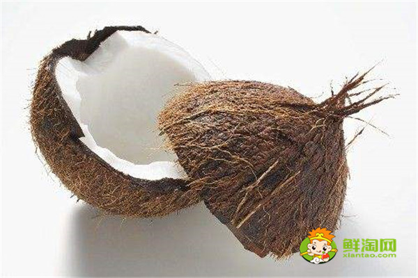 椰子属于水果还是坚果,椰子属于核果类水果