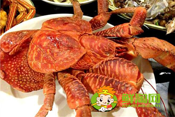 椰子蟹能吃吗,吃椰子蟹要注意什么