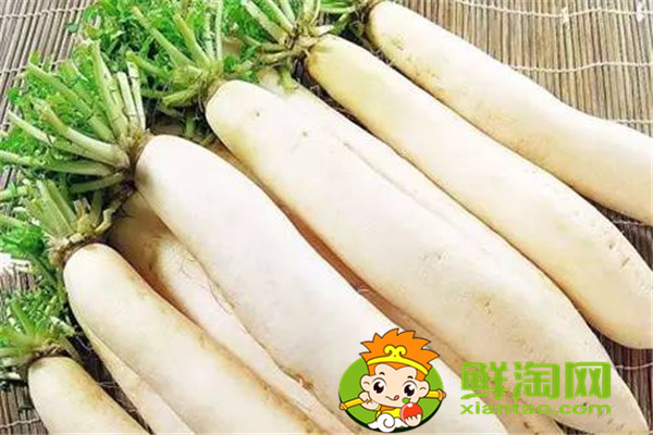 冬天种什么菜比较好,这五种蔬菜不在家中一些可惜了